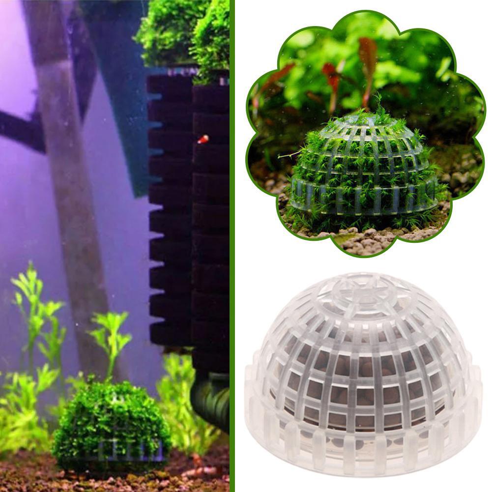 1 Buah Perlengkapan Hewan Peli - Planted Aquarium Maintenance ulasan dan harga