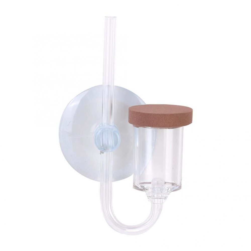 Akuarium Mini Akrilik Tanaman  - Planted Aquarium Maintenance ulasan dan harga