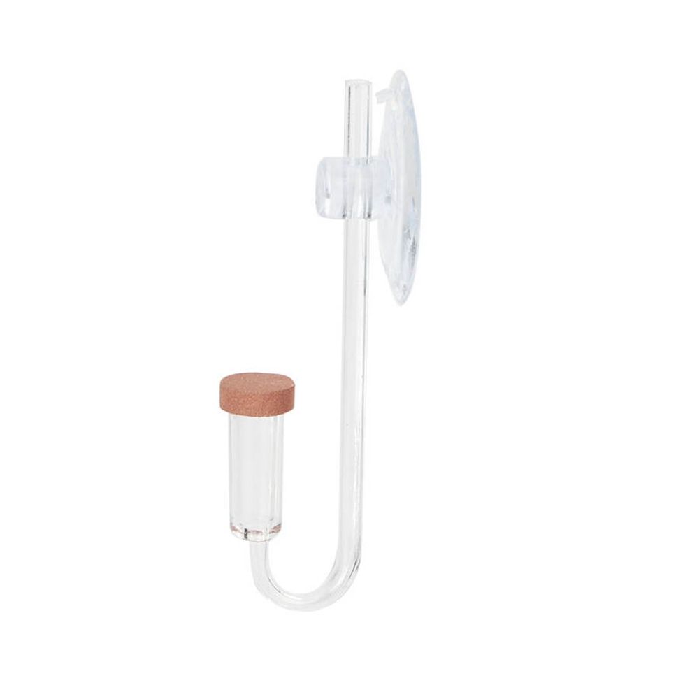 Akuarium Mini Akrilik Tanaman  - Planted Aquarium Maintenance ulasan dan harga