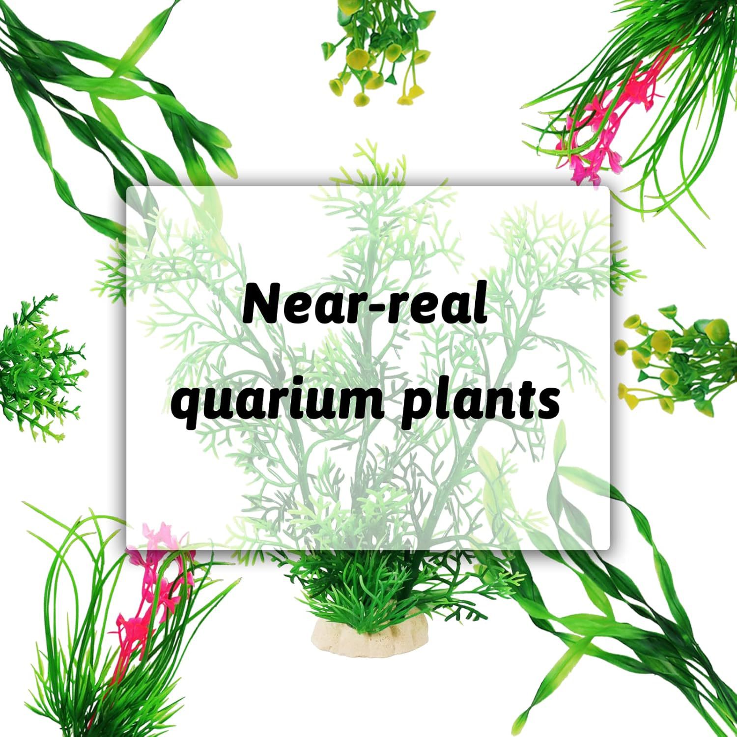 Set Tanaman Akuarium Buatan De - Planted Aquarium For Beginners ulasan dan harga