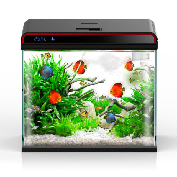 Kondisioner Air Akuarium Sunsu - Planted Aquarium Ph ulasan dan harga