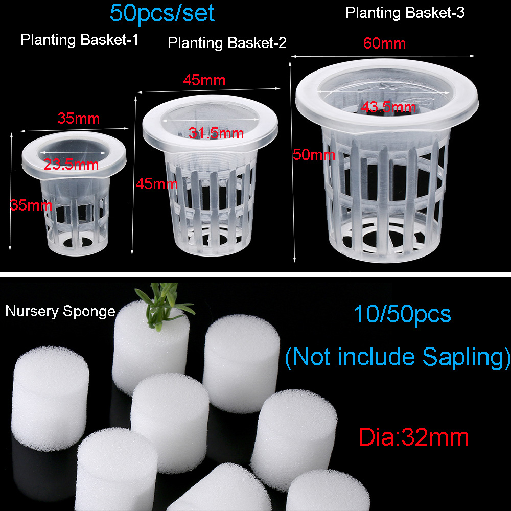 10/50 Buah Baki Penyemaian Hid - Aquarium Planted Seeds ulasan dan harga