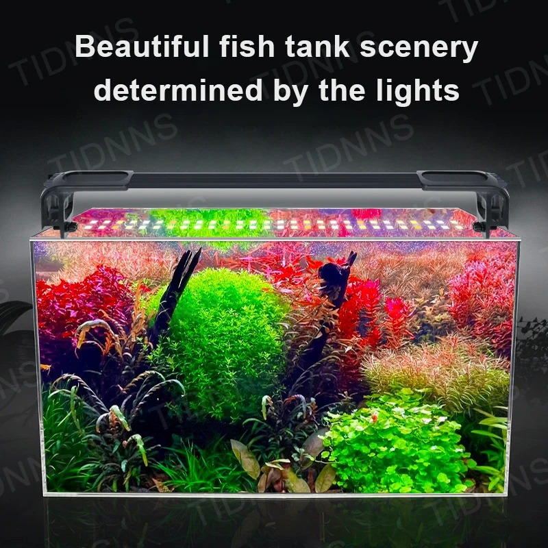 Lampu akuarium lampu tanaman L - Aquarium Plant Delivery ulasan dan harga