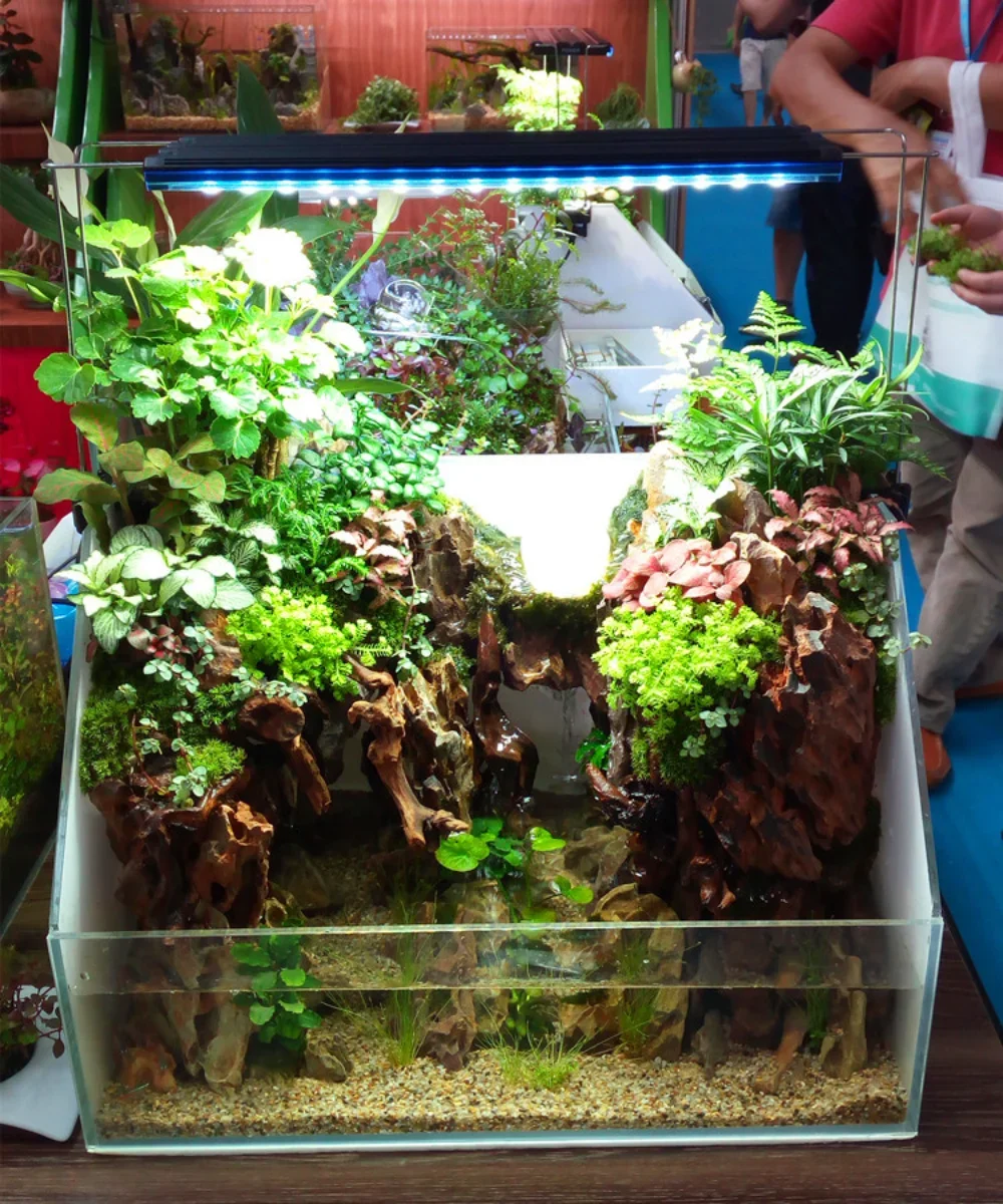 Lampu Tanaman Air, Lampu Tangk - Aquarium Plant Light Spectrum ulasan dan harga
