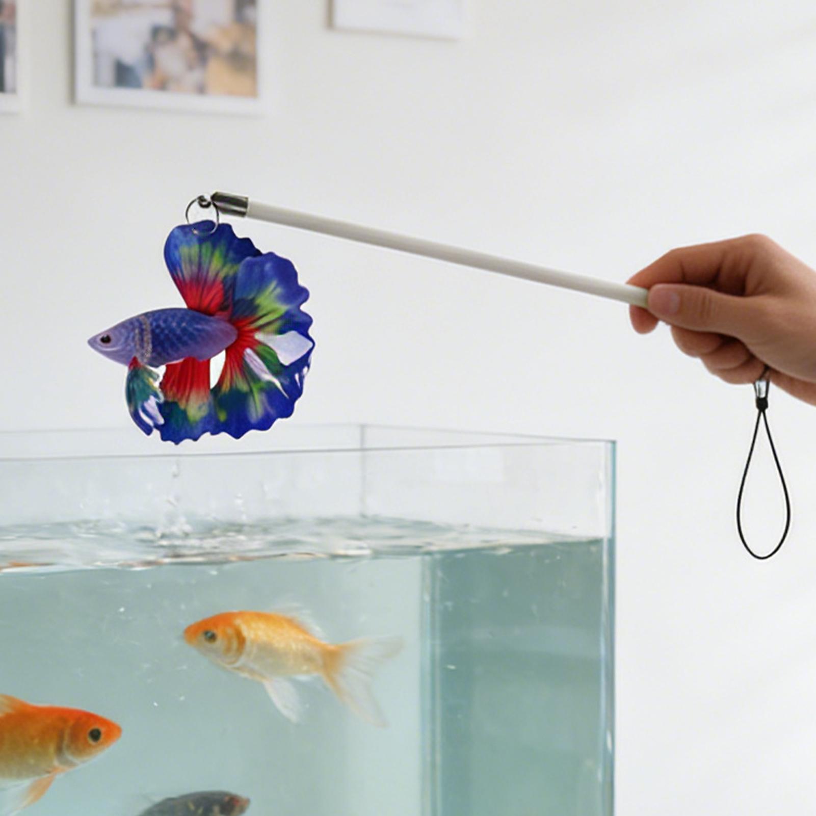 Tongkat Latihan Ikan Mainan Ak - Planted Aquarium For Beginners ulasan dan harga